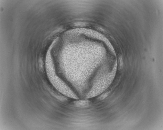 X0000070340567200607072016