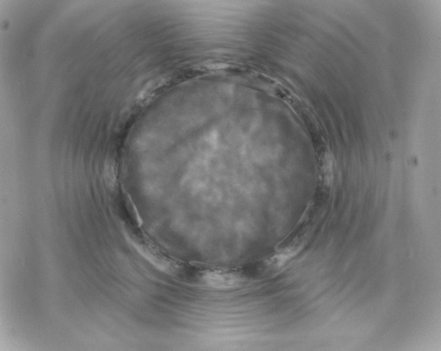 X0000070340568200607072016