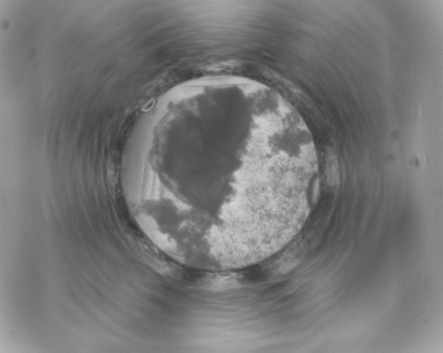 X0000070340569200607072016