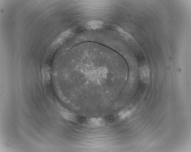 X0000070340570200607072016