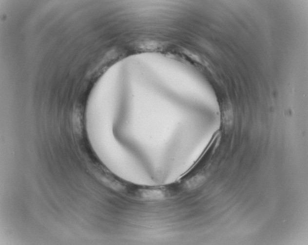 X0000070340572200607072016