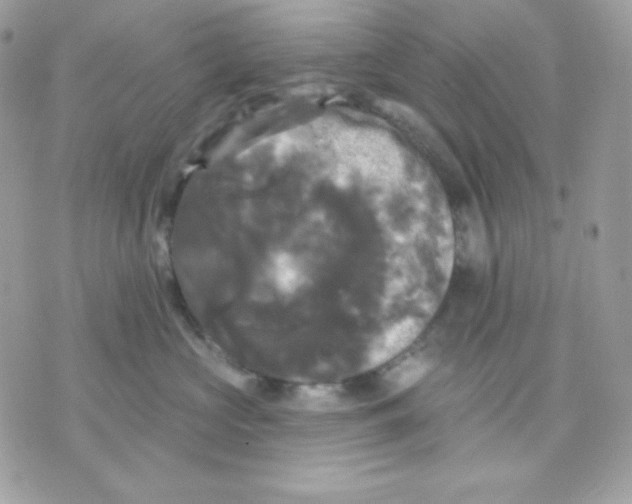 X0000070340573200607072016