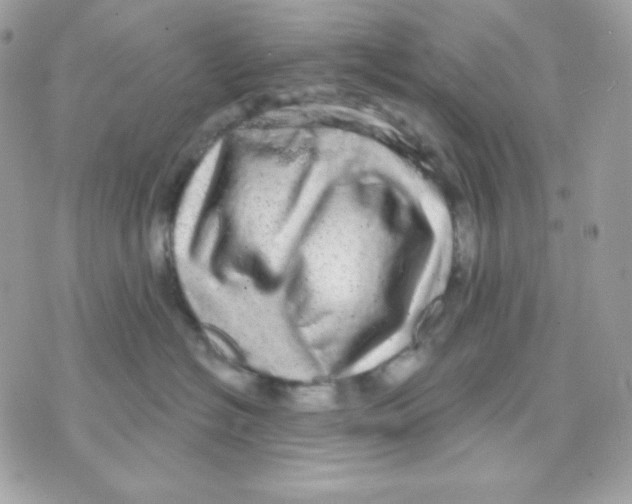 X0000070340574200607072016