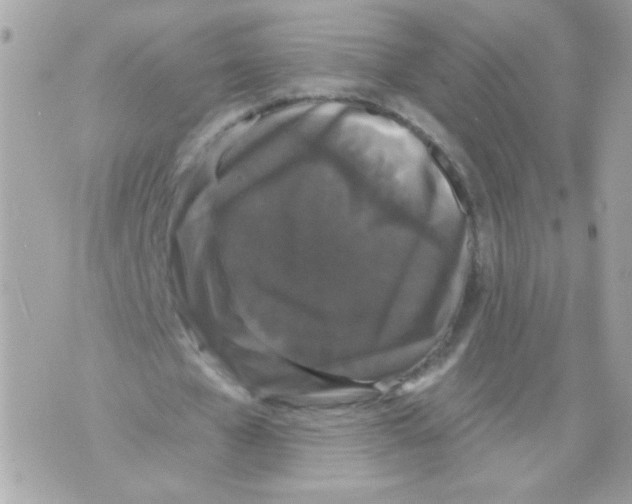 X0000070340577200607072015