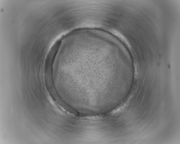 X0000070340580200607072015