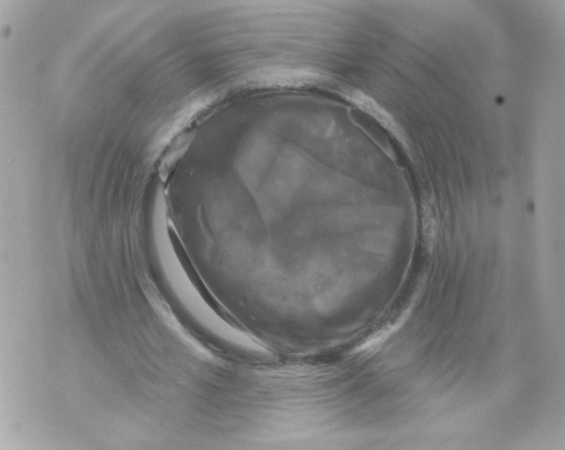 X0000070340581200607072015