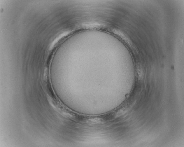 X0000070340583200607072015