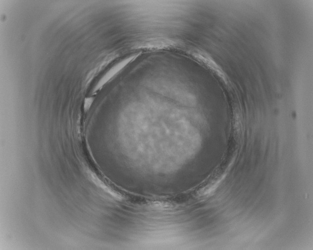 X0000070340585200607072015