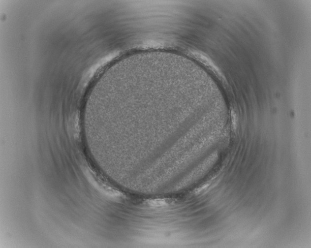 X0000070340588200607072015