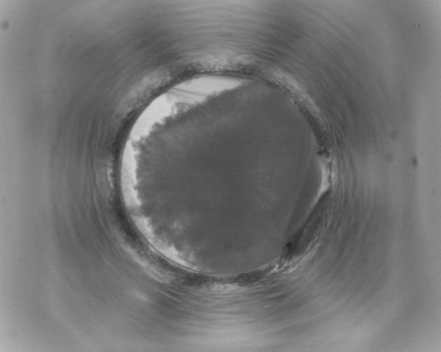 X0000070340590200607072015