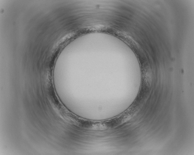 X0000070340591200607072015