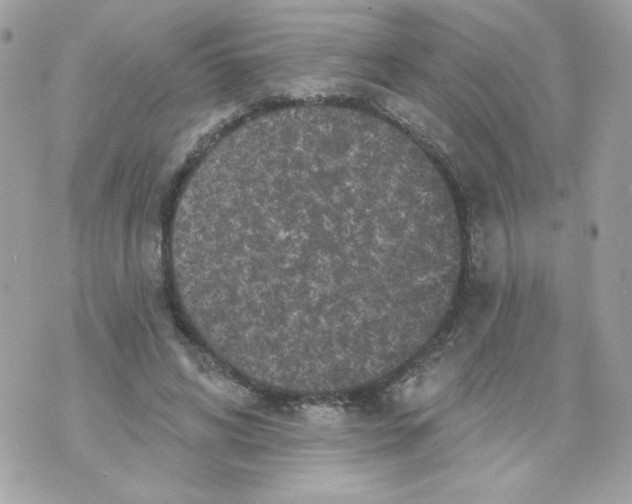 X0000070340592200607072015