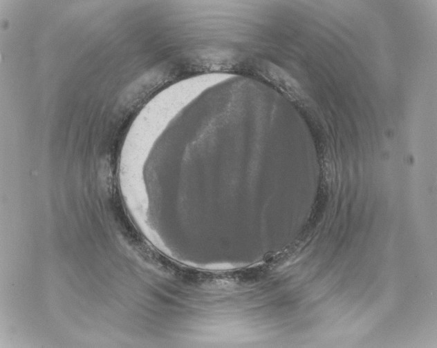 X0000070340594200607072015