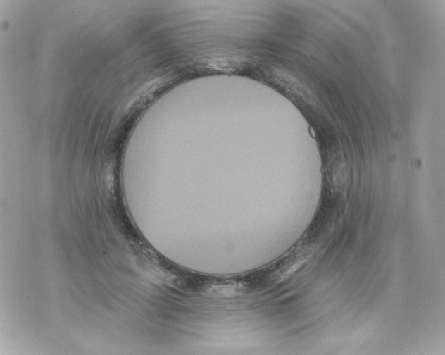 X0000070340595200607072015