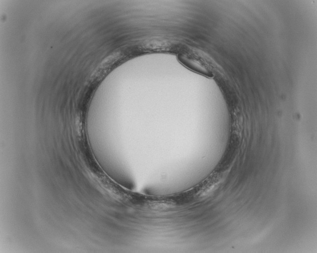 X0000070340597200607072015