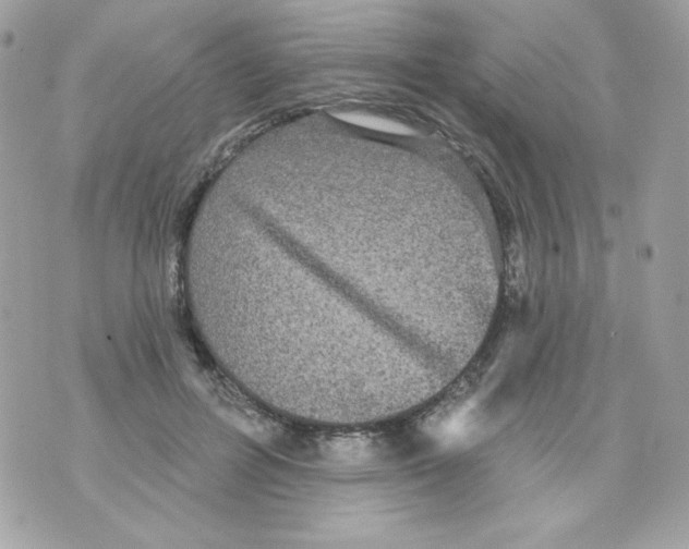 X0000070340600200607072015