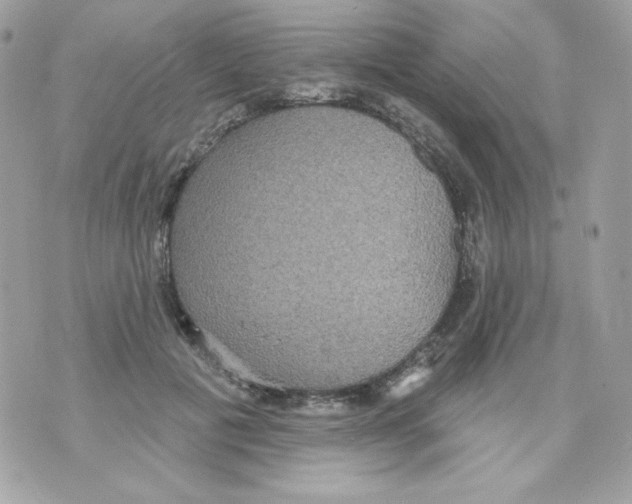 X0000070340601200607072015