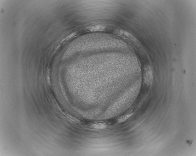 X0000070340604200607072015