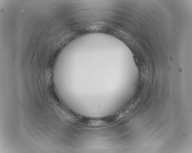 X0000070340605200607072015