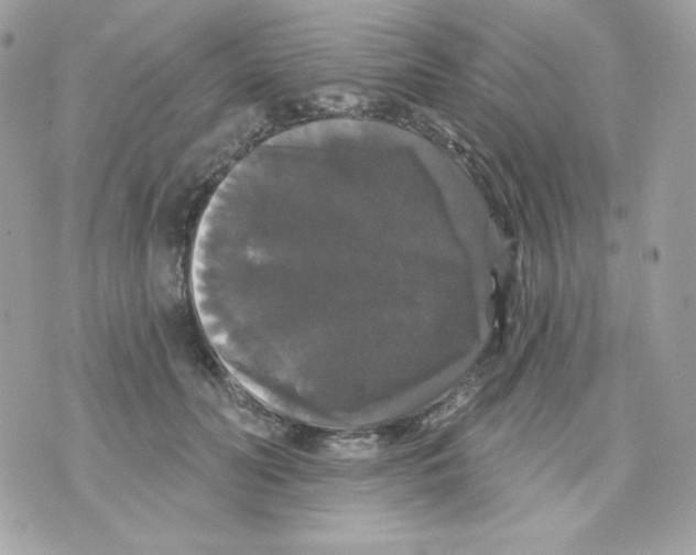 X0000070340606200607072015