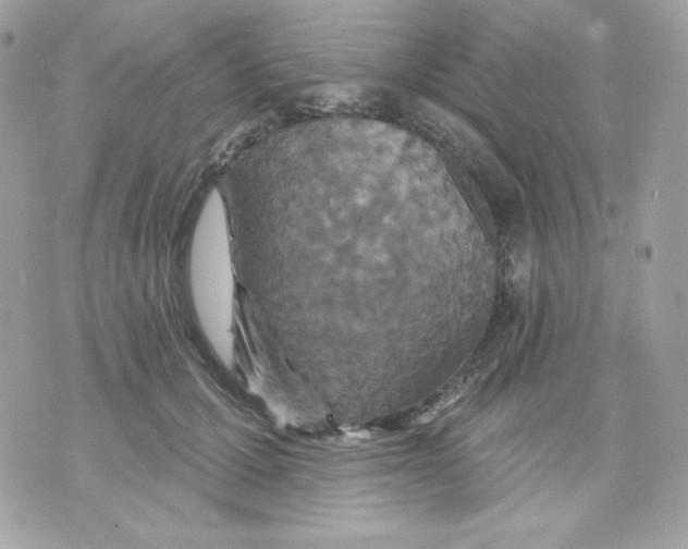 X0000070340607200607072014