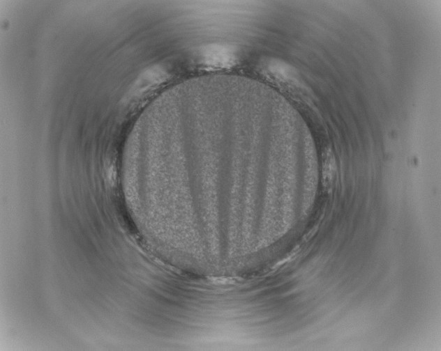 X0000070340608200607072014