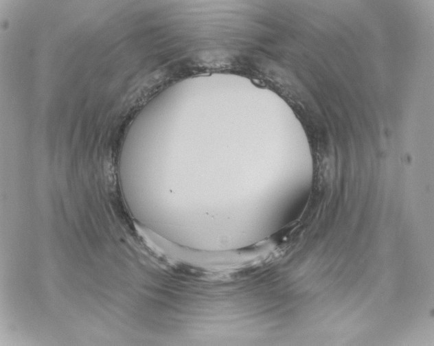 X0000070340609200607072014