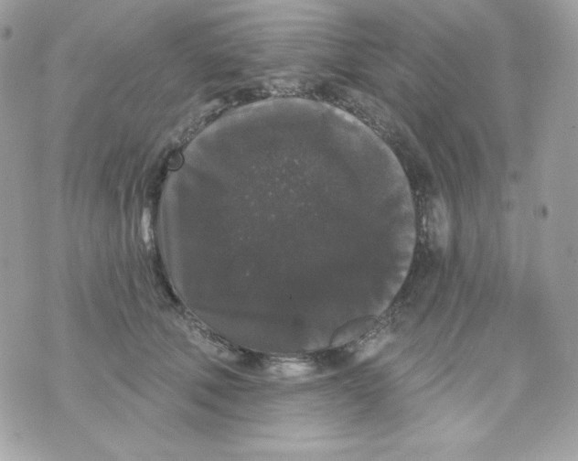 X0000070340610200607072014