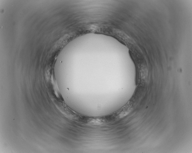 X0000070340611200607072014