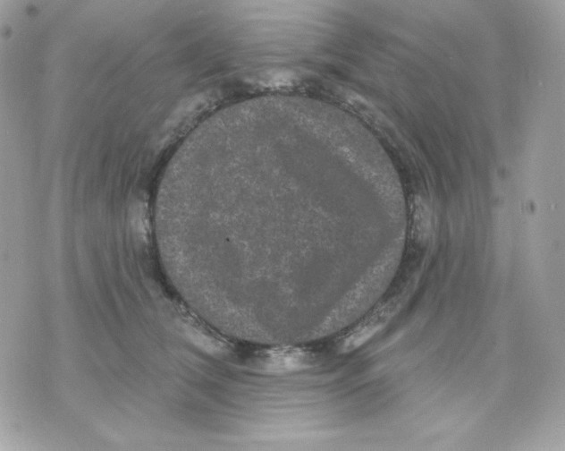 X0000070340612200607072014