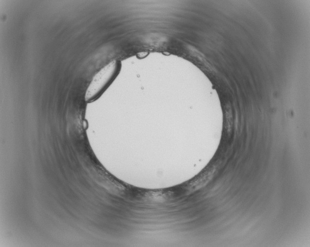 X0000070340613200607072014