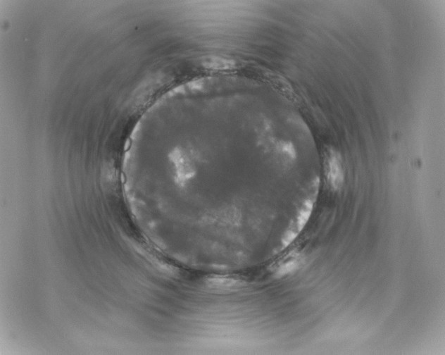 X0000070340614200607072014