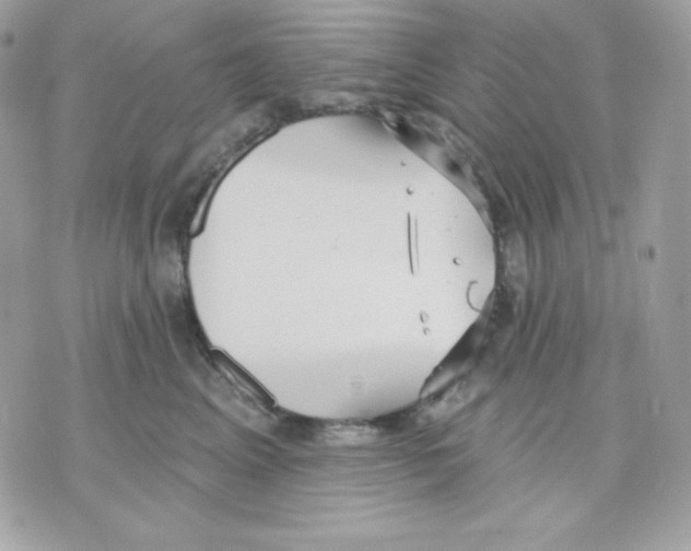 X0000070340617200607072014