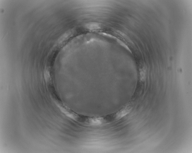 X0000070340618200607072014