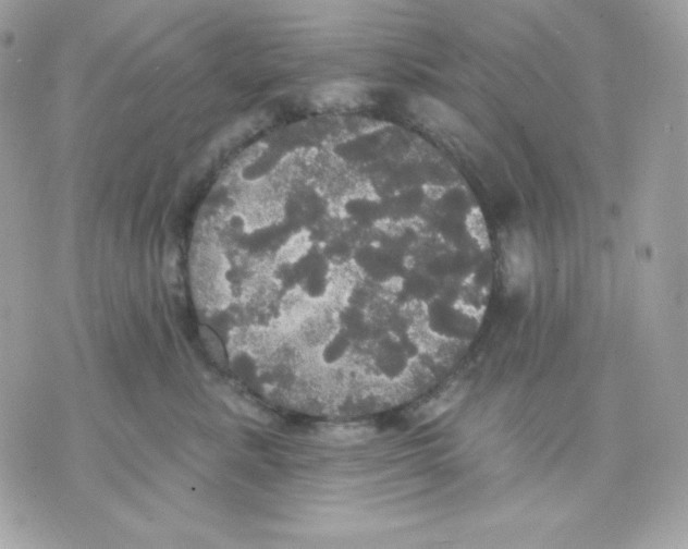 X0000070340619200607072014