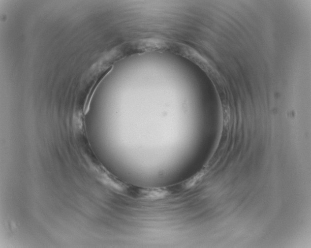 X0000070340621200607072014