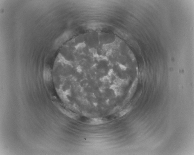 X0000070340623200607072014