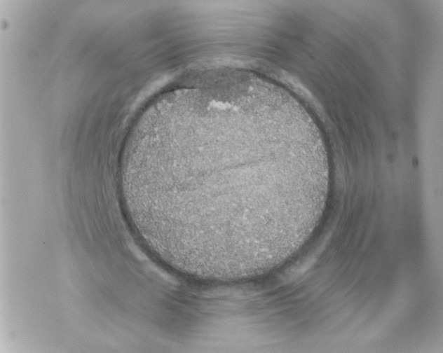 X0000070340625200607072013