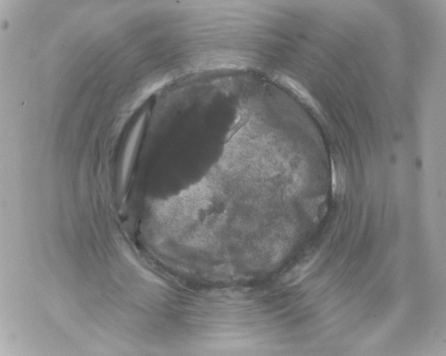 X0000070340627200607072013