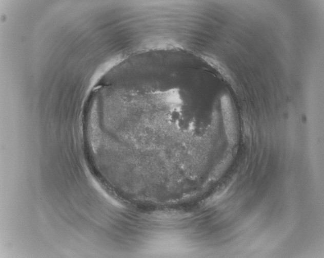 X0000070340630200607072014