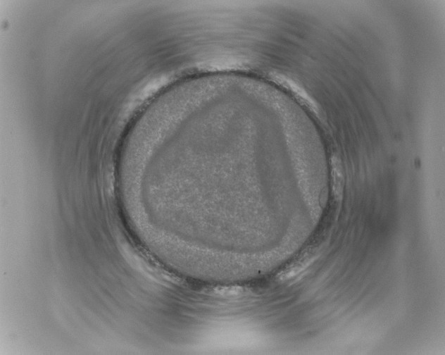 X0000070340631200607072014