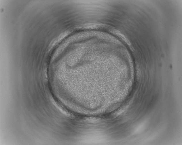 X0000070340633200607072014