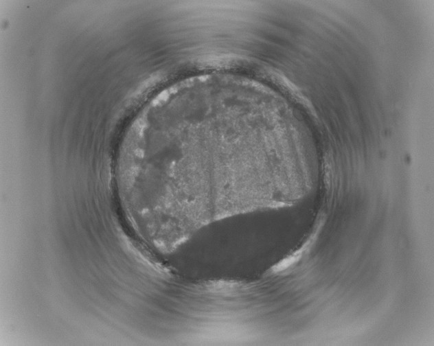 X0000070340637200607072014