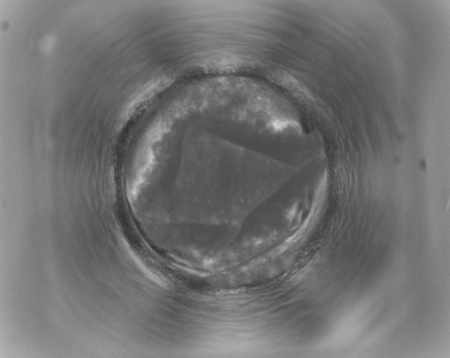 X0000070340638200607072014