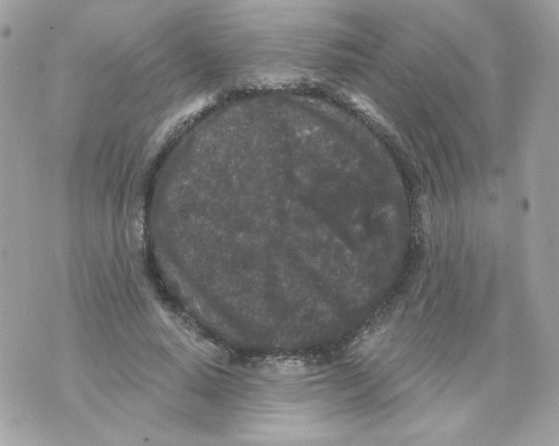 X0000070340640200607072014