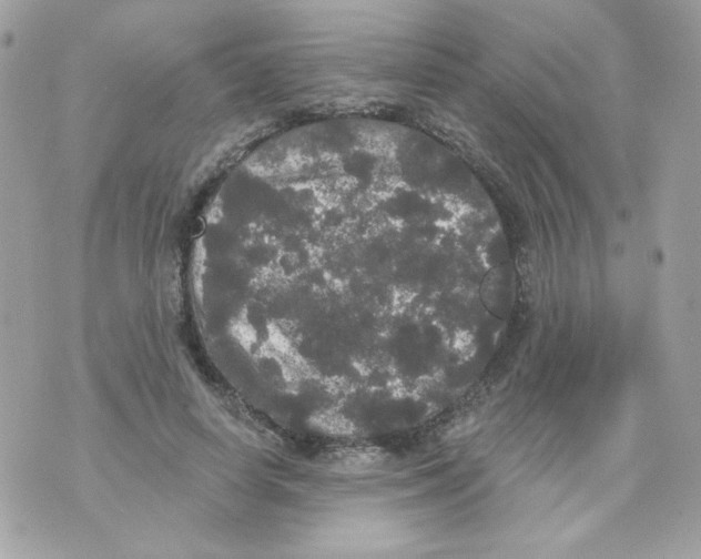 X0000070340642200607072014