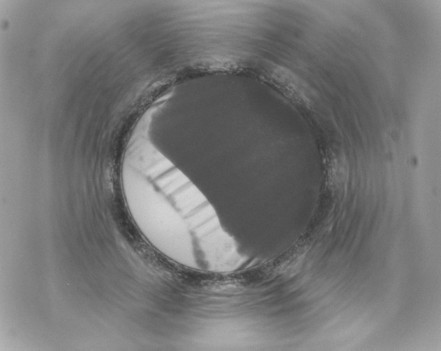 X0000070340643200607072014