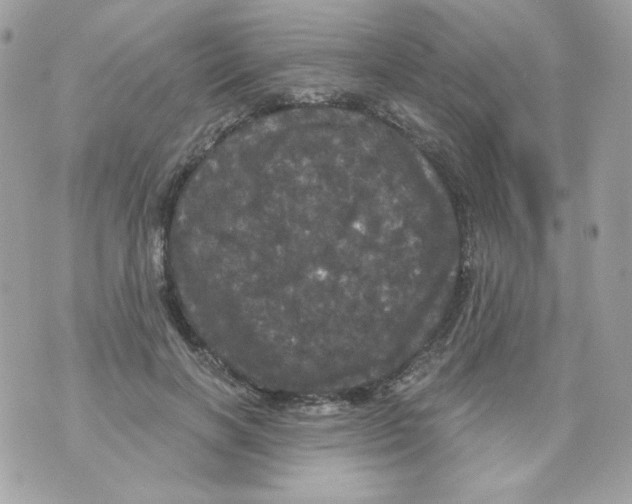 X0000070340646200607072014