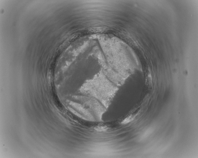 X0000070340647200607072014