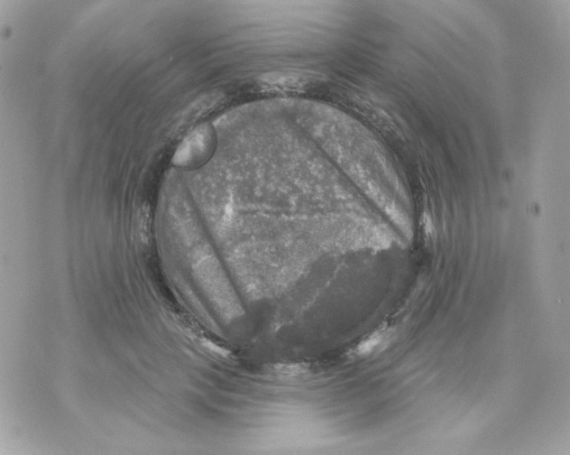 X0000070340649200607072014